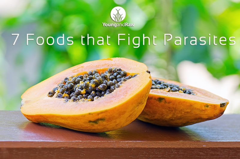 7 Foods that Fight Parasites Young and Raw