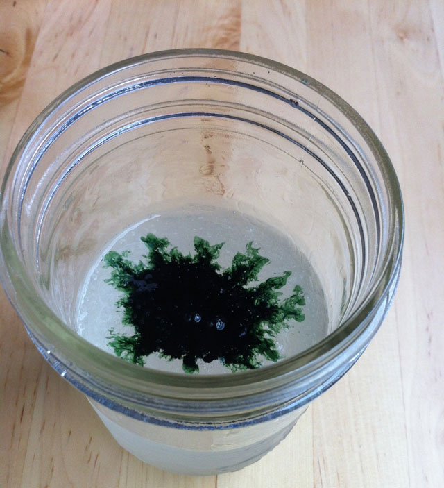chlorophyll water