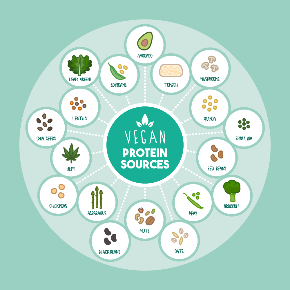 Image result for protein sources for vegans