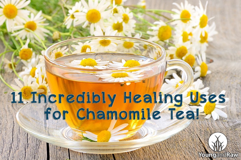 11 Incredibly Healing Uses For Chamomile Tea Young And Raw