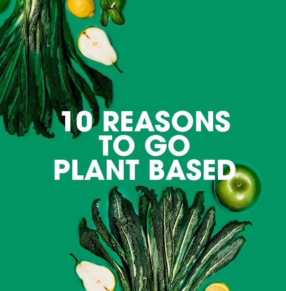 10 Reasons to Go Plant Based