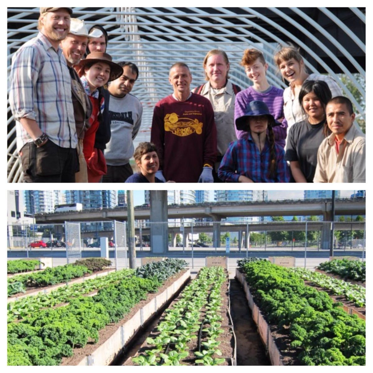 Sole Food This Company is Creating "Pay What You Can" Organic Food