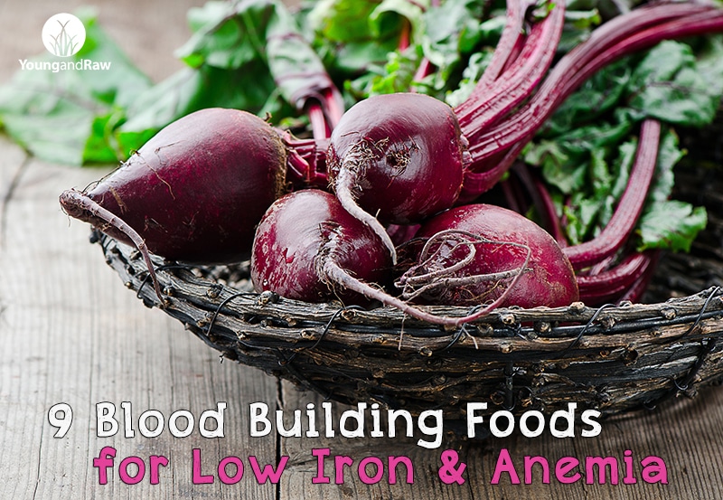 9 Blood Building Foods for Anemia and Iron Deficiency