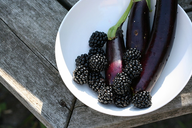 Boost Mood and Brain Power With These Three “Black” Foods!