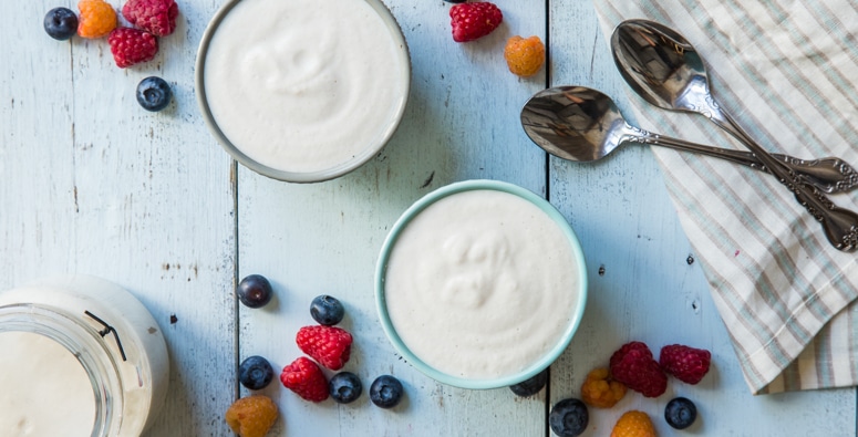 Cashew-Coconut-Yogurt-Profile