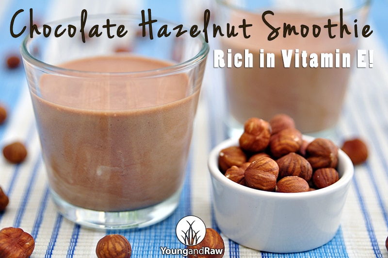 Chocolate Hazelnut Smoothie RIch in Vitamin E