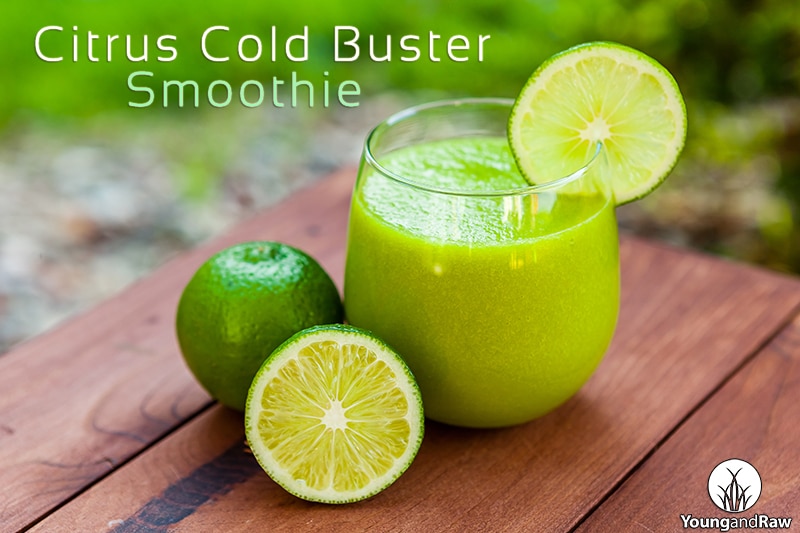 Citrus Cold Buster Smoothie-from-App-Day-26