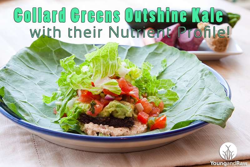 Collard Greens Outshine Kale 