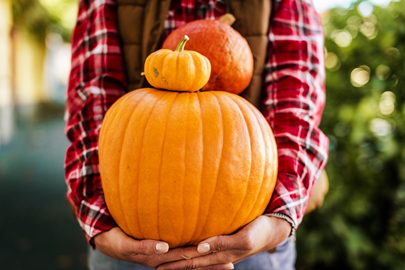 Fall-Pumpkin-Ideas