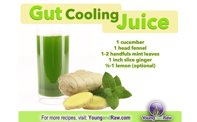 Gut Cooling Juice Recipe to Reduce Inflammation