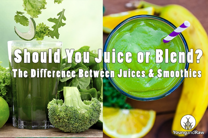 Should You Juice or Blend?