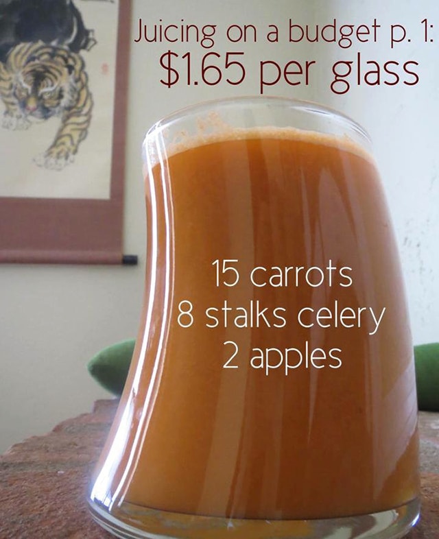 Juicing on a Budget Recipe 1