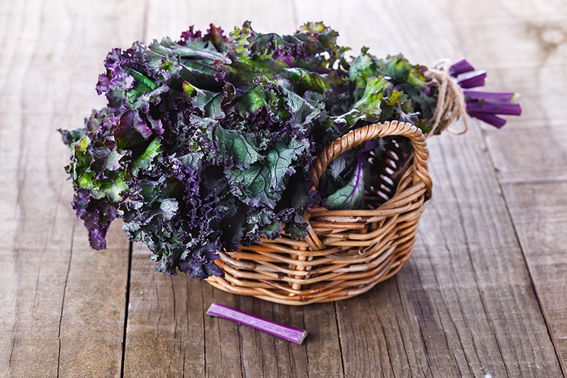 5 Reasons to Eat More Kale
