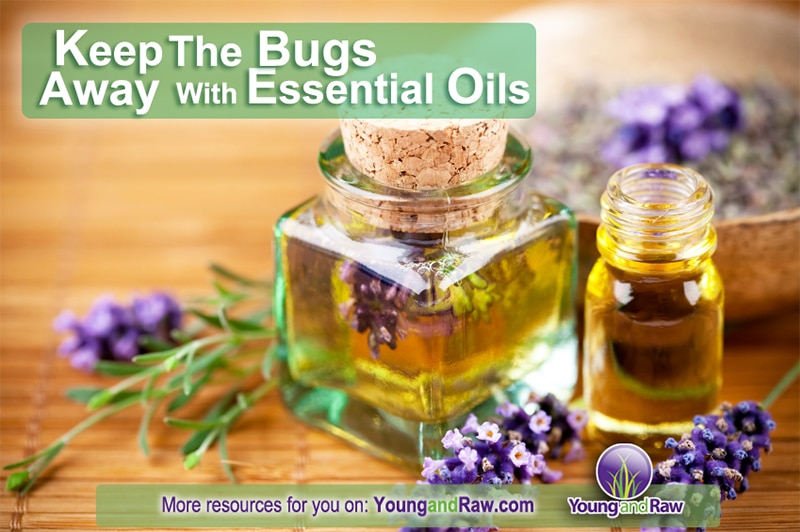 Keep Bugs Away with Essential Oils