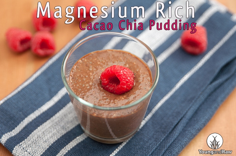 Magnesium Rich Cacao Chia Pudding
