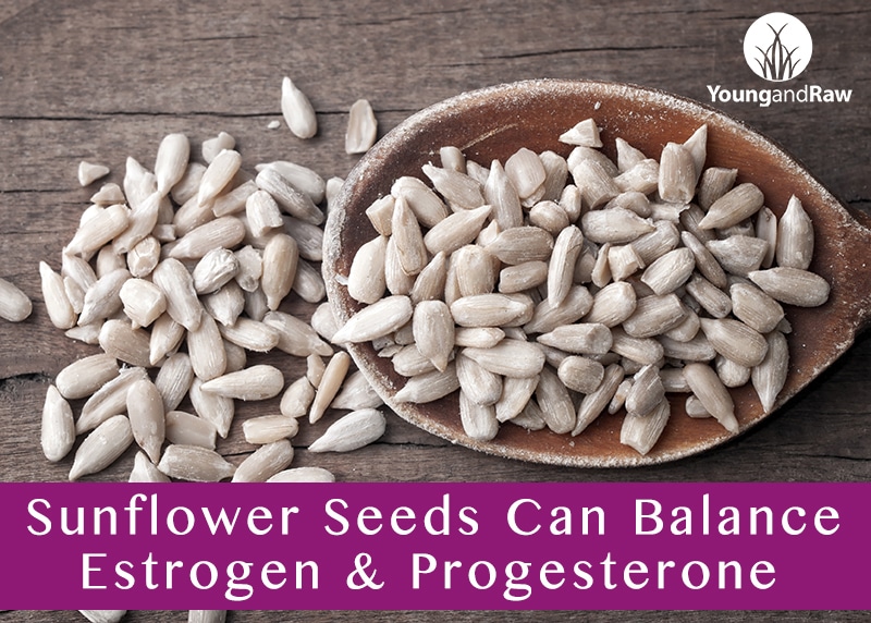 Sunflower Seeds for Balancing Estrogen & Progesterone 