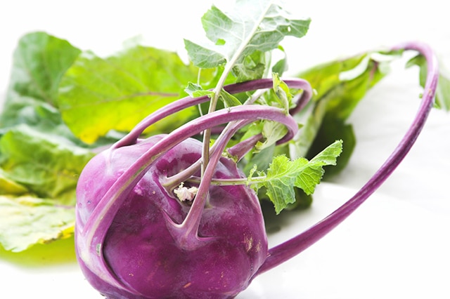 Purple Kohlrabi