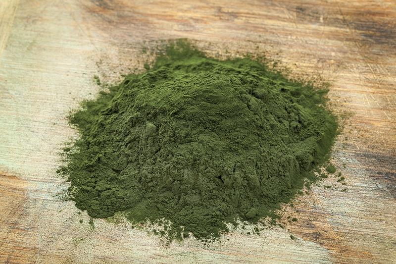 9 Healthy Perks of Using Spirulina as a Protein Powder 