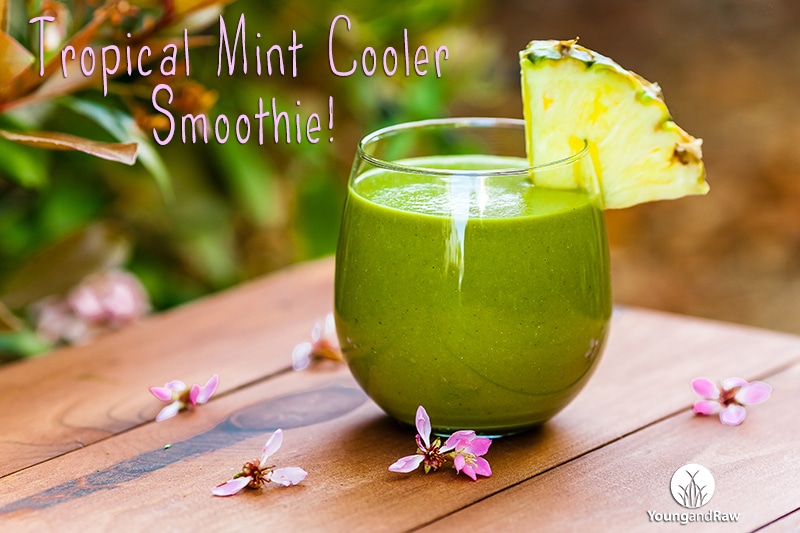 Tropical Mint Cooler