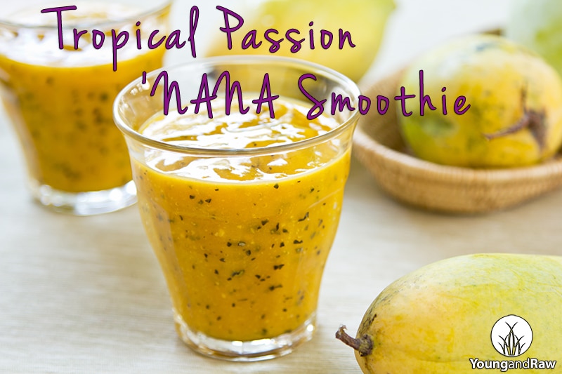 Tropical Passion 'Nana Smoothie