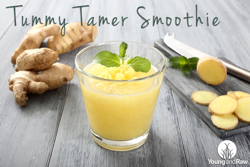 Tummy Tamer Smoothie