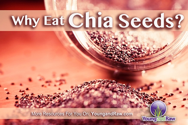 Why Eat Chia Seeds