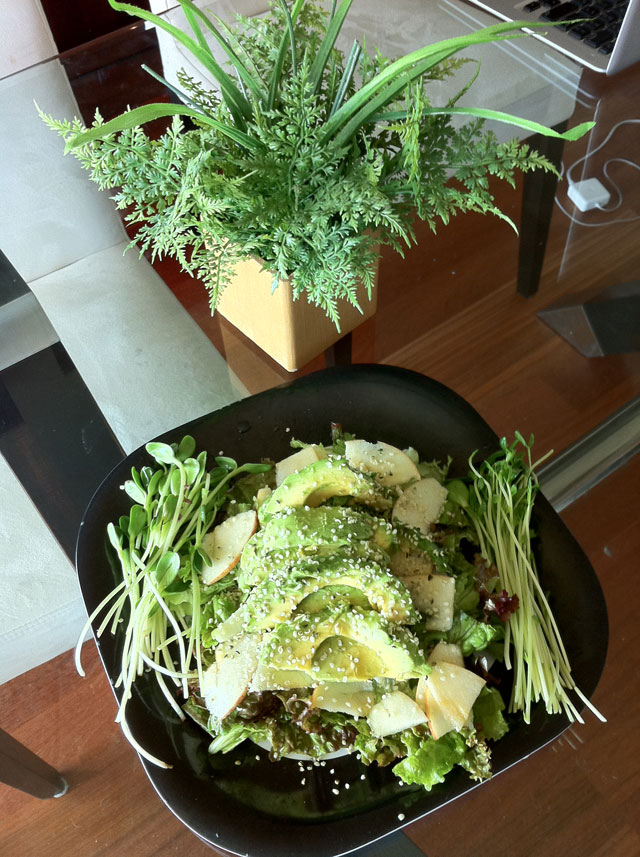 Apple Hemp Protein Salad