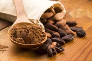 Cacao Powder and Beans