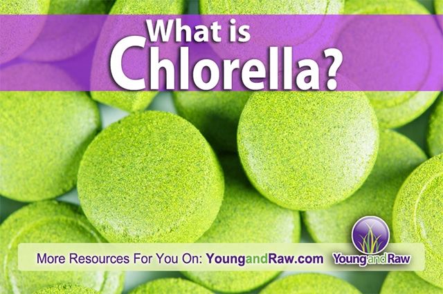 Chlorella