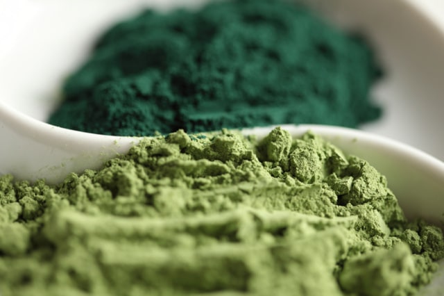 Chlorophyll Rich Green Powders