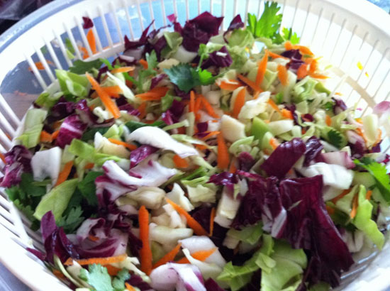Fiesta Salad Vegetables in Salad Spinner