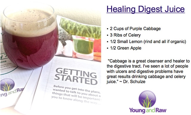 Purple Cabbage Healing Digest Juice