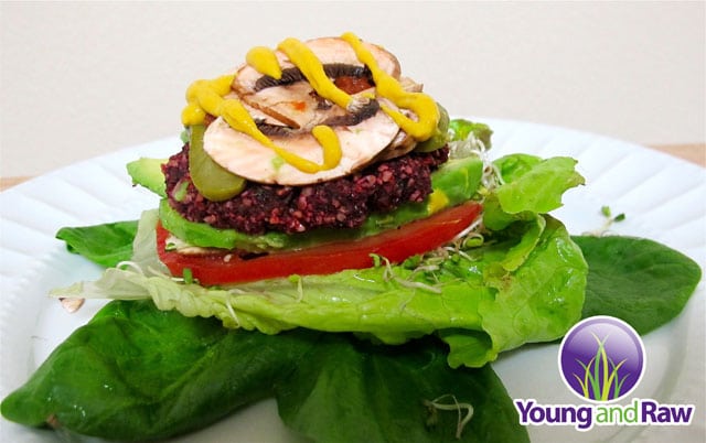Raw Vegan Sunflower Veggie Burger with Ketchup and Mustard