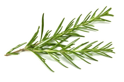 Rosemary