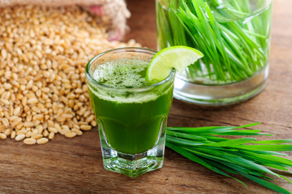 50 Reasons to Drink Wheatgrass Everyday
